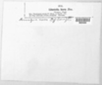 Diatrypella favacea image